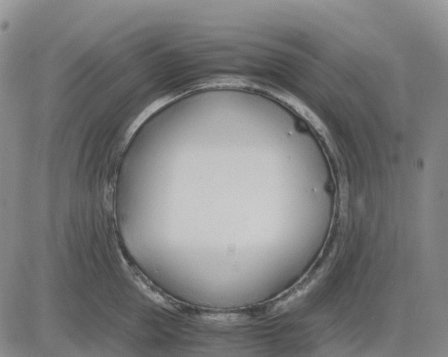 X0000083010953200702231809