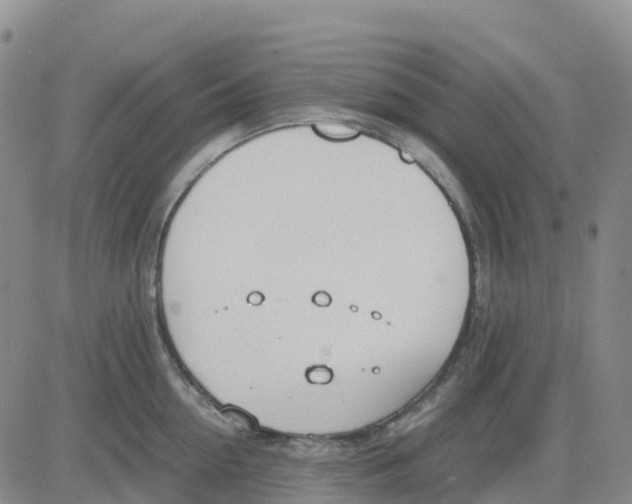 X0000083010954200702231809