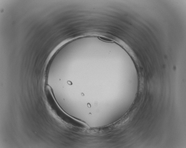 X0000083010955200702231809