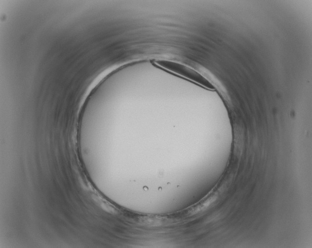 X0000083010956200702231809