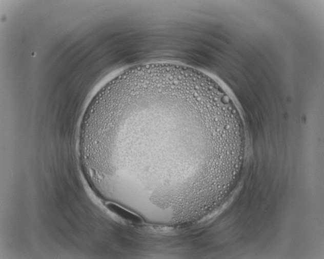 X0000083010957200702231809