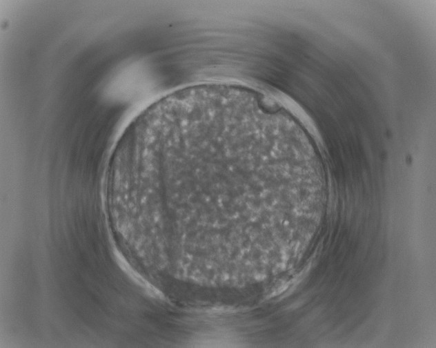 X0000083010958200702231809