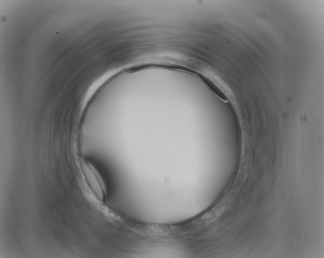 X0000083010960200702231809