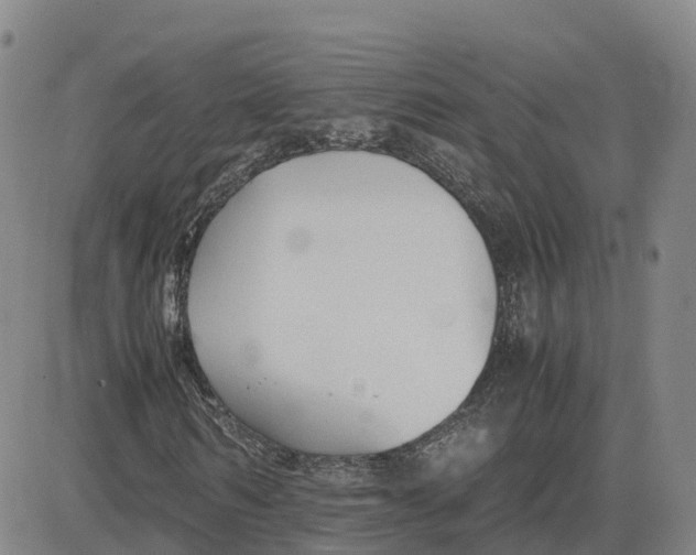 X0000083010962200702231808