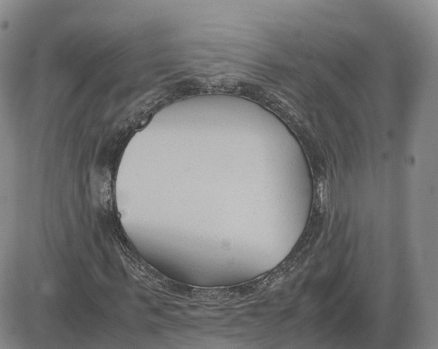 X0000083010963200702231808