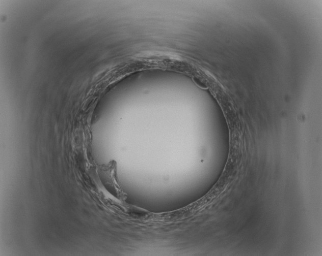 X0000083010965200702231808