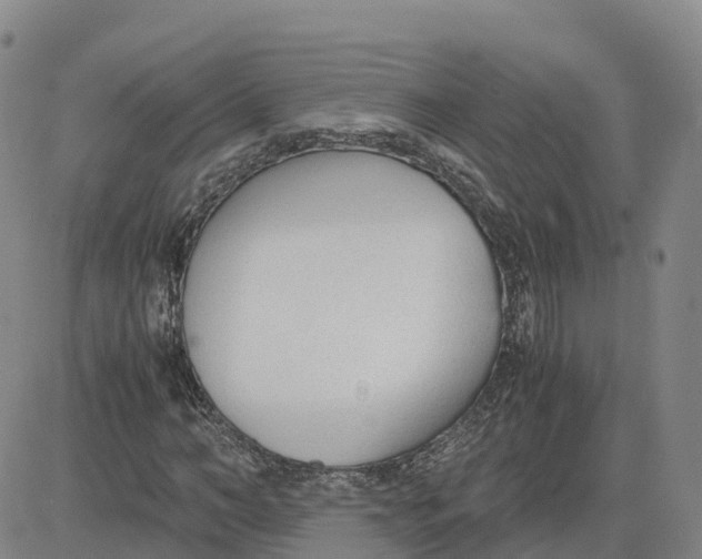 X0000083010966200702231808