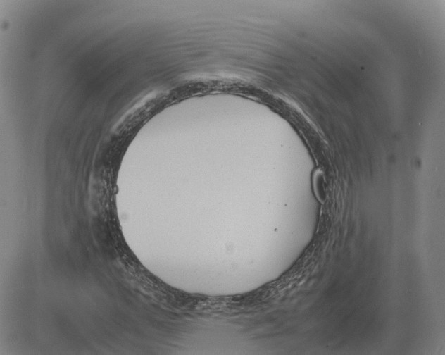 X0000083010967200702231808