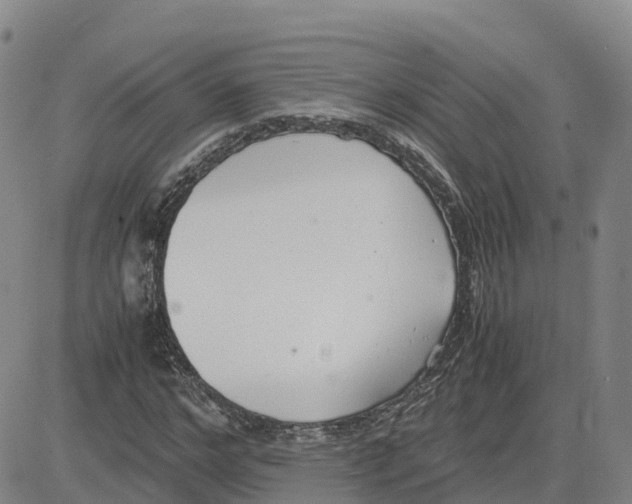 X0000083010968200702231808