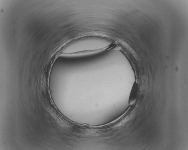 X0000083010969200702231808