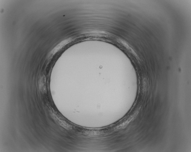 X0000083010970200702231808