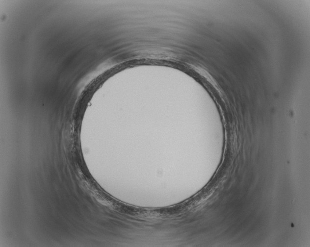 X0000083010971200702231808