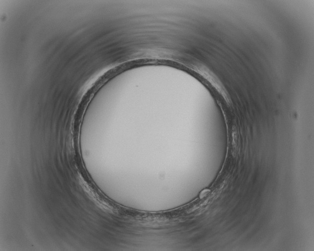 X0000083010972200702231808