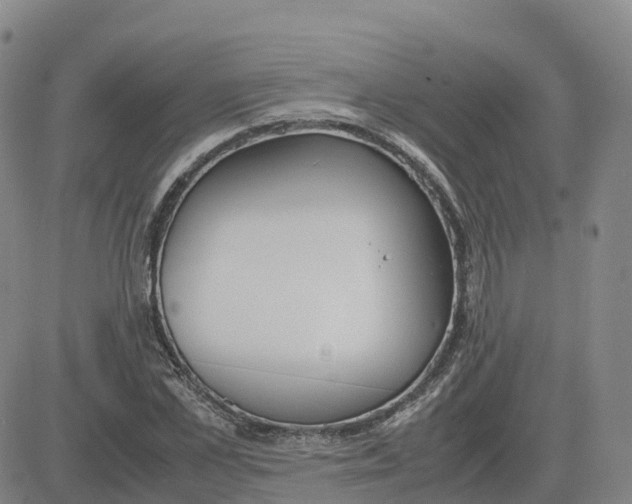 X0000083010973200702231808