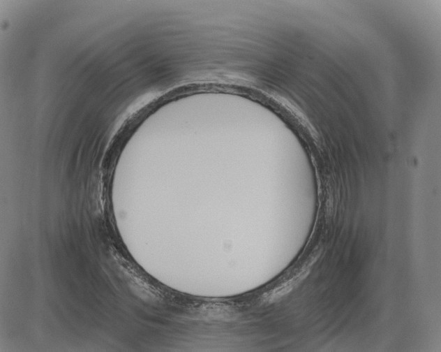 X0000083010974200702231808