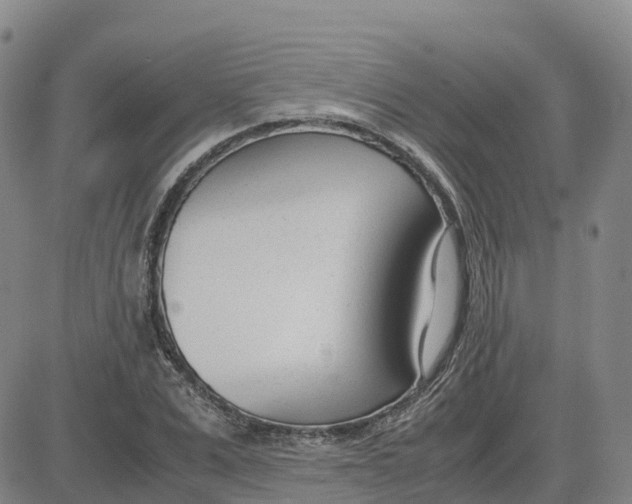 X0000083010975200702231808