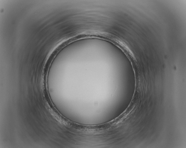 X0000083010976200702231808