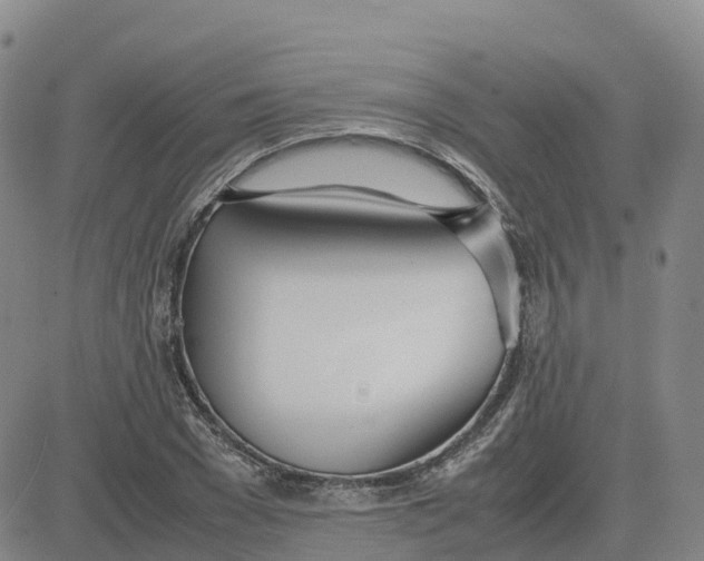 X0000083010977200702231808