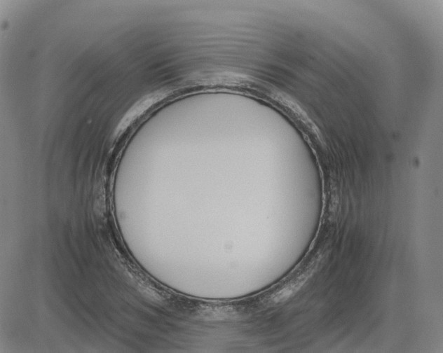 X0000083010978200702231808