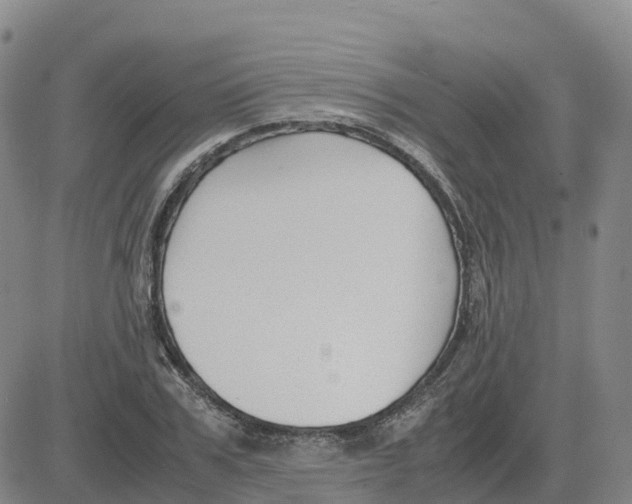 X0000083010979200702231808