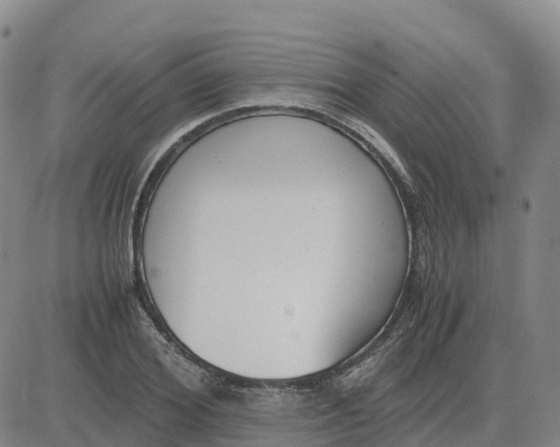 X0000083010980200702231808