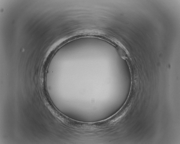 X0000083010981200702231808