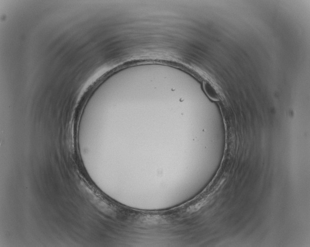 X0000083010982200702231808