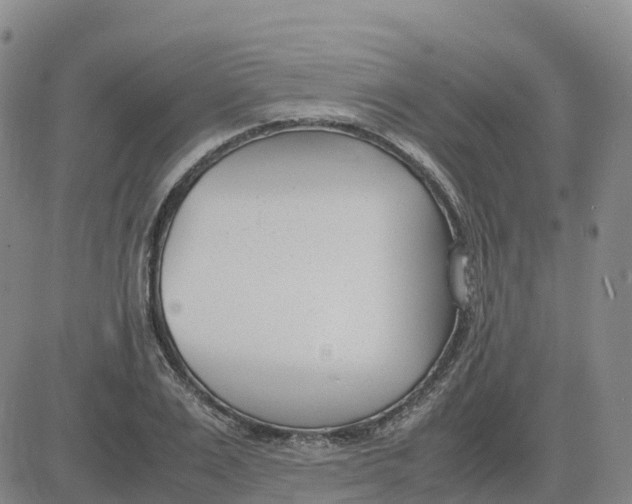 X0000083010983200702231808