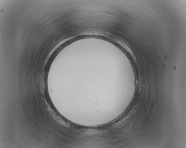 X0000083010984200702231808