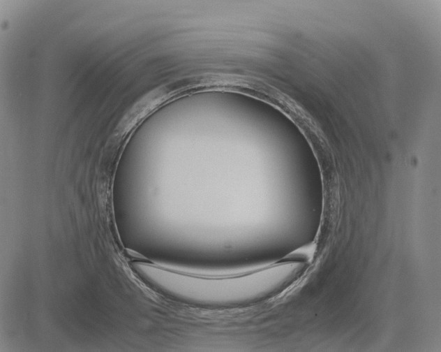 X0000083010985200702231808