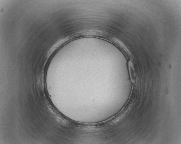 X0000083010986200702231808