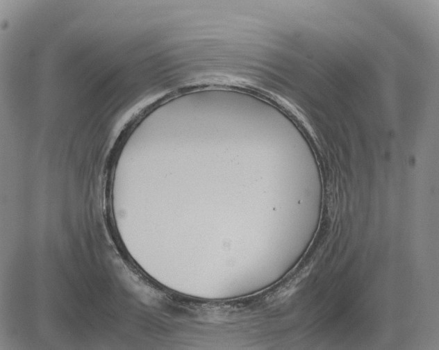 X0000083010987200702231808