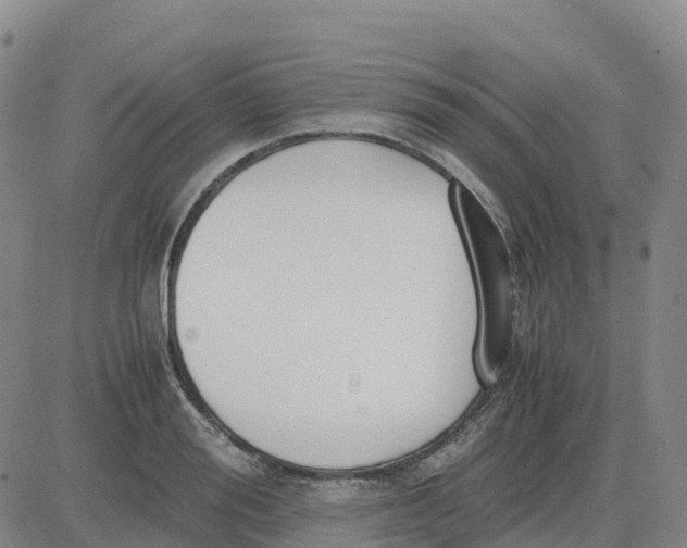 X0000083010988200702231808