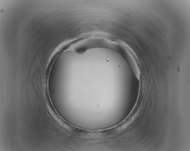 X0000083010989200702231808