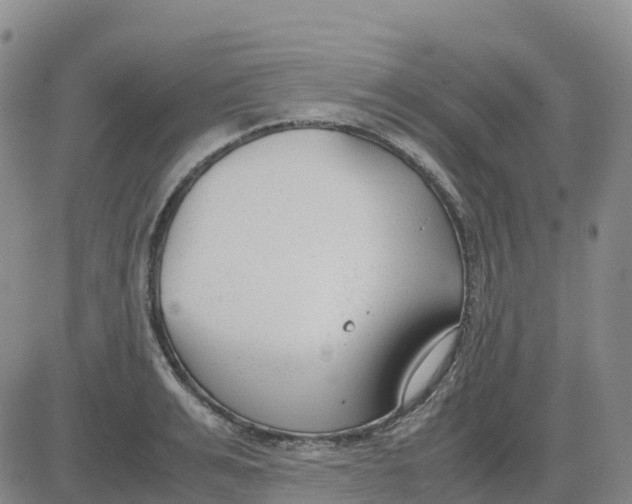 X0000083010991200702231808