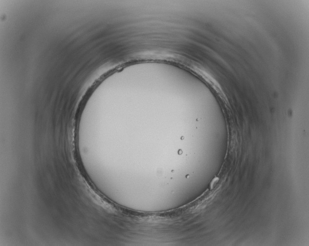 X0000083010992200702231808