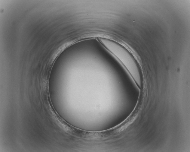 X0000083010993200702231808