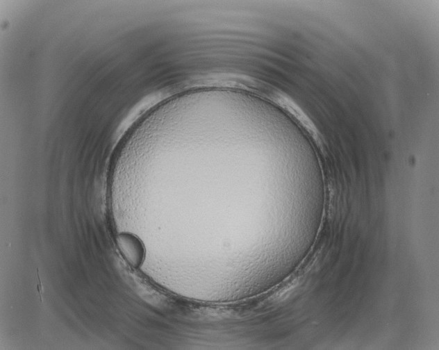 X0000083010994200702231808