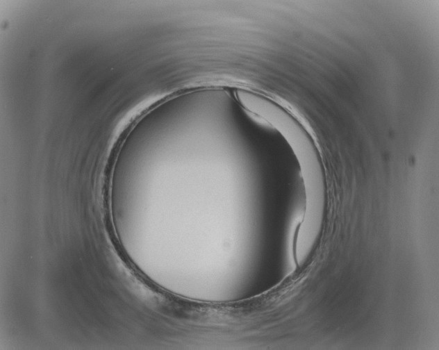 X0000083010995200702231808