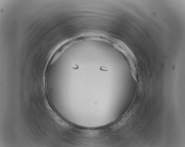 X0000083010996200702231808