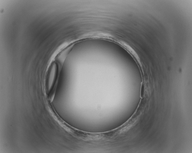 X0000083010997200702231808