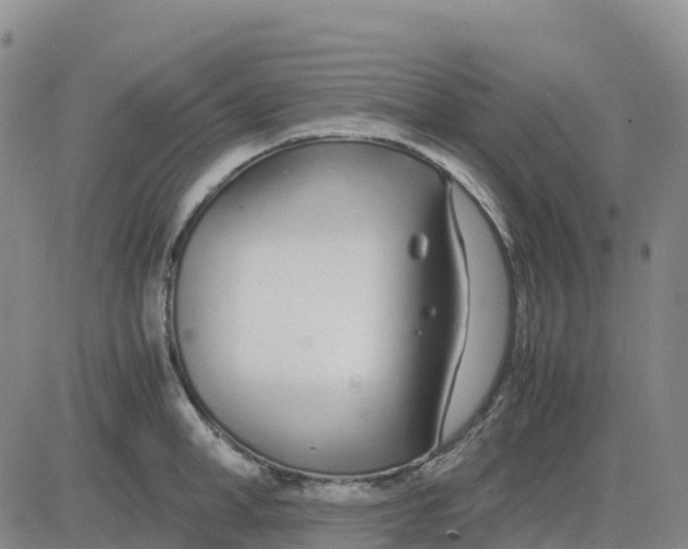 X0000083010998200702231807