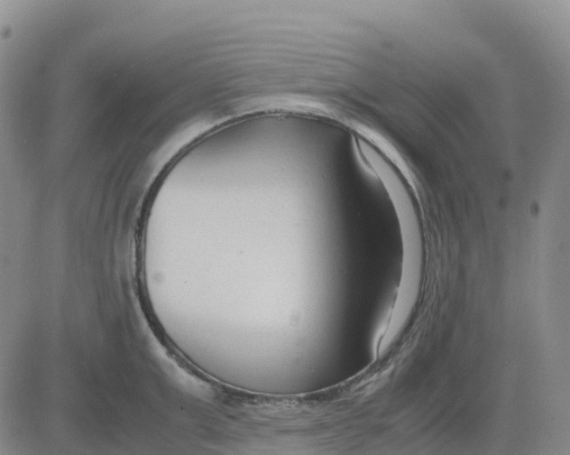 X0000083010999200702231807