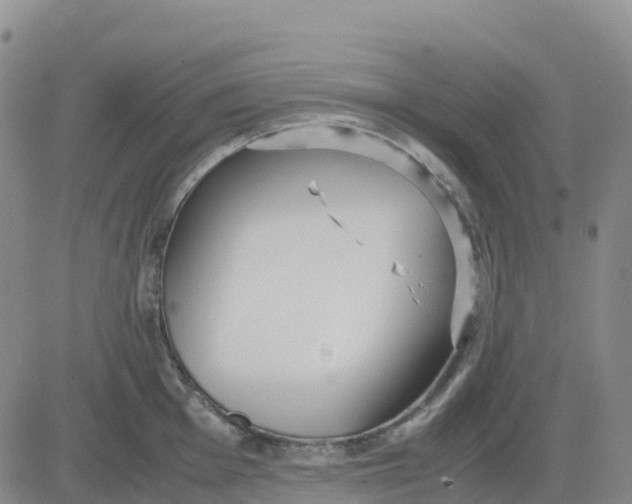 X0000083011001200702231807