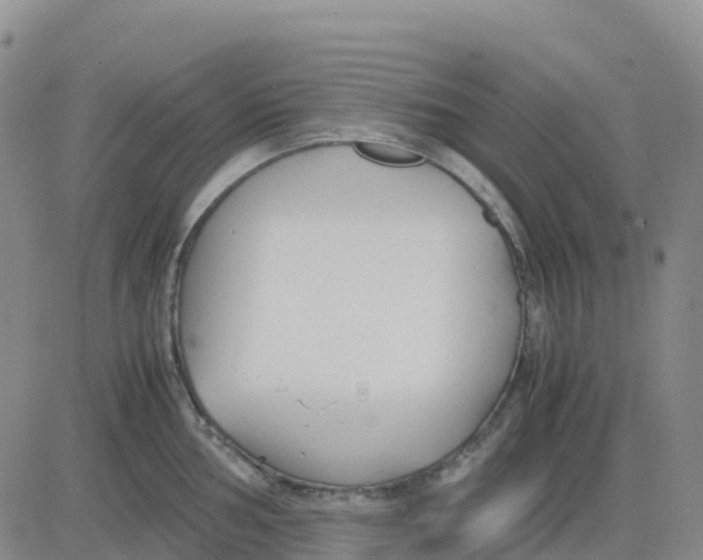 X0000083011002200702231807