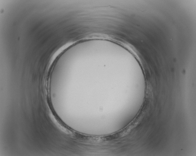 X0000083011003200702231807