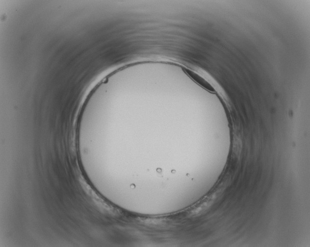 X0000083011004200702231807