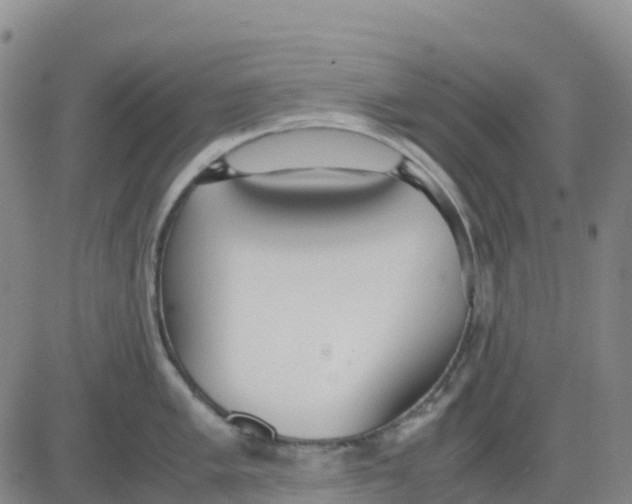 X0000083011005200702231807