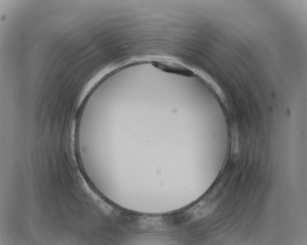 X0000083011006200702231807