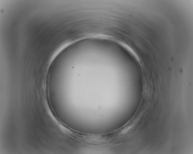 X0000083011007200702231807